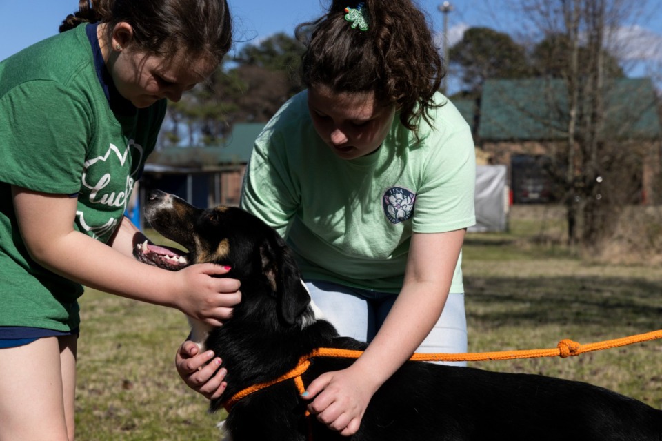<strong>Camille Odom, 9, left, and Macy Hendrick, 9, right, pet Tucker while volunteering at the City of Hernando Animal Shelter on March 17.</strong> (Brad Vest/Special to The Daily Memphian)