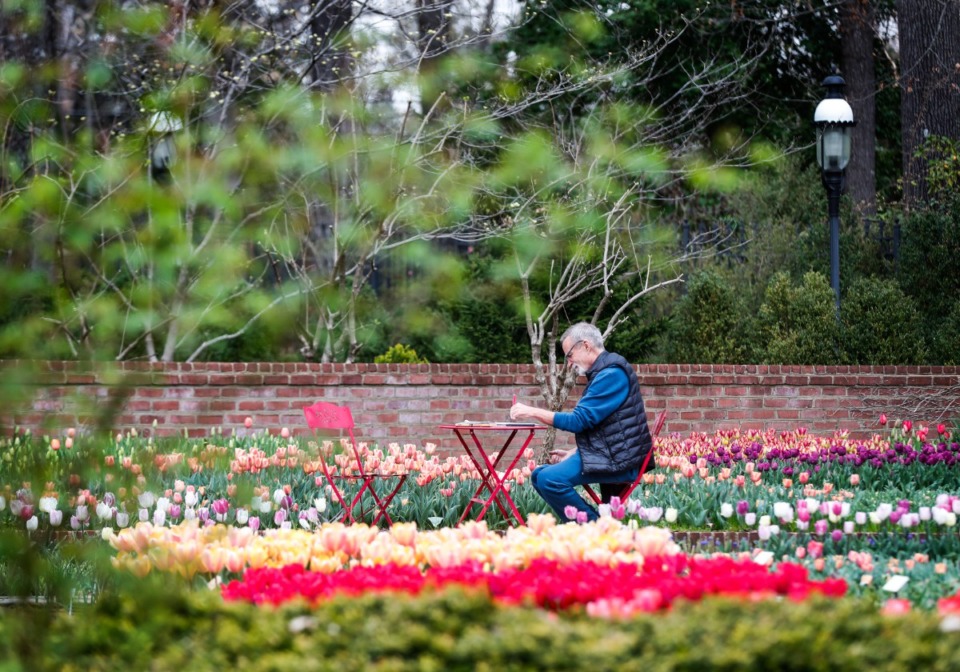 <strong>An artist works on a drawing on Tuesday, March 29, at Dixon Gallery &amp; Gardens.</strong> (Mark Weber/The Daily Memphian)