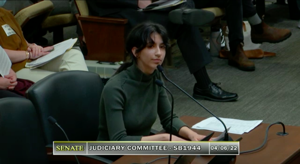 <strong>Milana Kumar, a Collierville High School student and an organizer with the Tennessee Youth Coalition, testified Wednesday, April 6 against a bill which would ban books deemed by school boards to be obscene or pornographic.</strong> (Screenshot from General Assembly livestream)