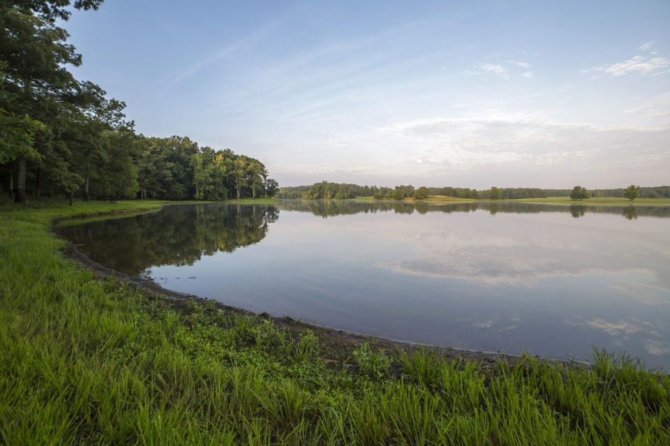 <strong>The large lake at the University of Tennessee&rsquo;s Lone Oaks Farm, and its surrounding wetlands, are part of the Cub Creek watershed, which is the focus of a stream mitigation and restoration agreement between Ford&rsquo;s BlueOval City and UT Extension.</strong> (Photo courtesy UTIA)