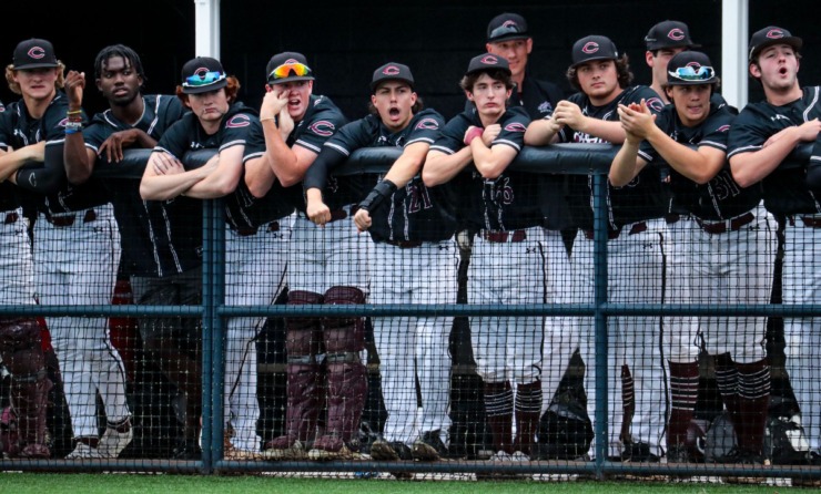 <strong>Collierville players cheer on their teammates during a May 24, 2022 state championship tournament game against Riverdale in Murfreesboro, Tennessee.</strong> (Patrick Lantrip/Daily Memphian)