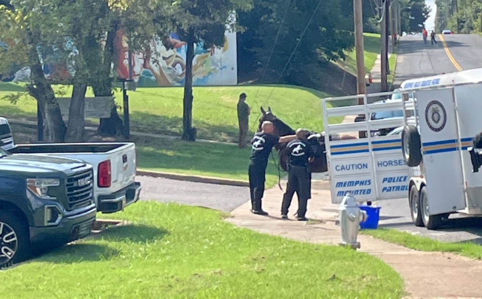 <strong>Memphis Police Department officers bring horses to the scene at Pine Hill Park in South Memphis, Sunday, Sept. 4, 2022.</strong> (Jasmine McCraven/The Daily Memphian)