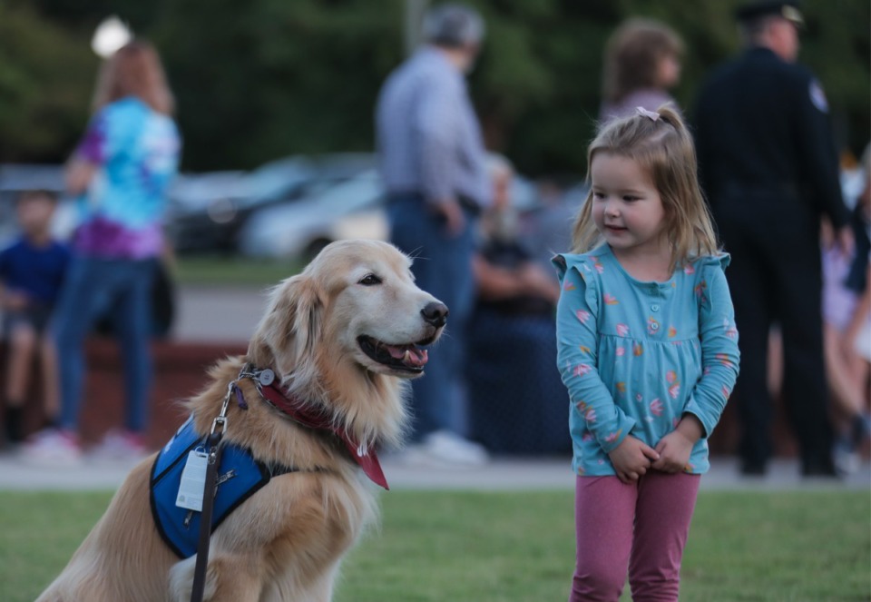 <strong>Paisley Evans looks at Job, a therapy dog, in attendance at the vigil at Collierville Town Hall on Sept. 23, 2022.</strong> (Patrick Lantrip/The Daily Memphian)
