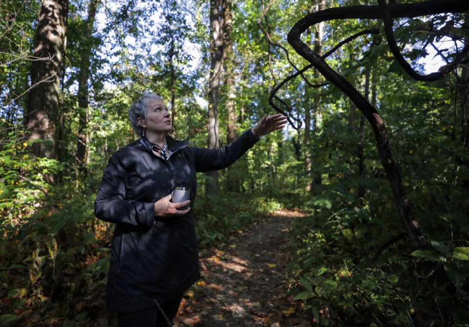 <strong>Overton Park Conservancy executive director Tina Sullivan talks about wild grapevines during a stroll through the Old Forest. The park is hosting a series of events this week called NatureZen.</strong> (Patrick Lantrip/The Daily Memphian)