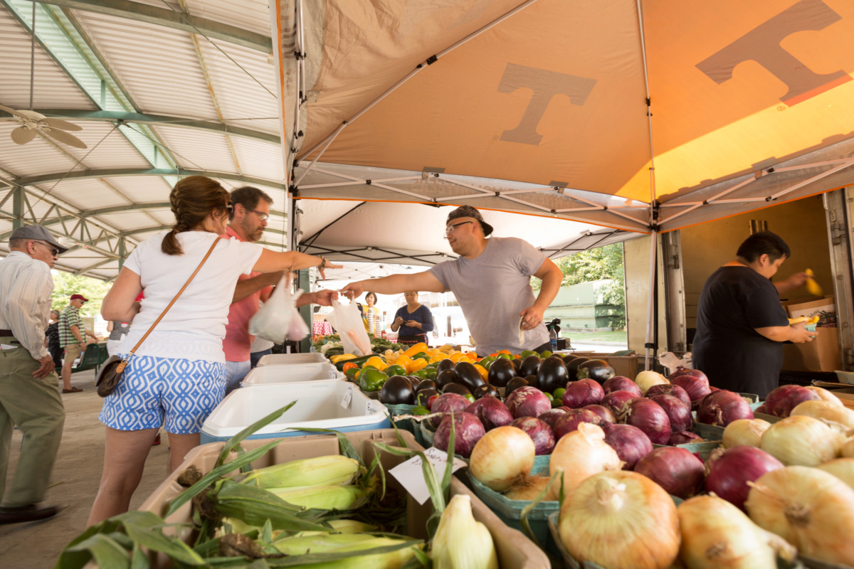 New farmers market openair pavilions planned for Bartlett and