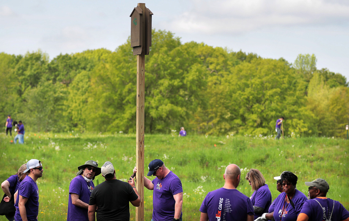 <strong>Volunteers from FedEx install bat boxes during an effort to put finishing touches on a new section of the Wolf River Greenway in Raleigh on April 24, 2019, in preparation for a grand opening Saturday.</strong> (Jim Weber/Daily Memphian)