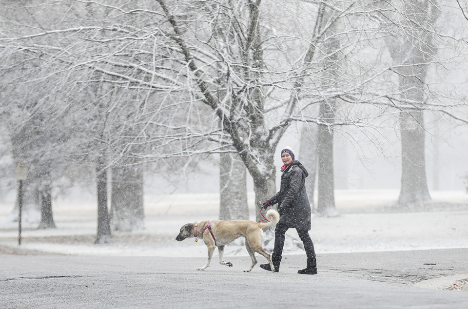 <strong>A woman walked her dog through Overton Park during 2021&rsquo;s severe weather.</strong> (Mark Weber/The Daily Memphian file)