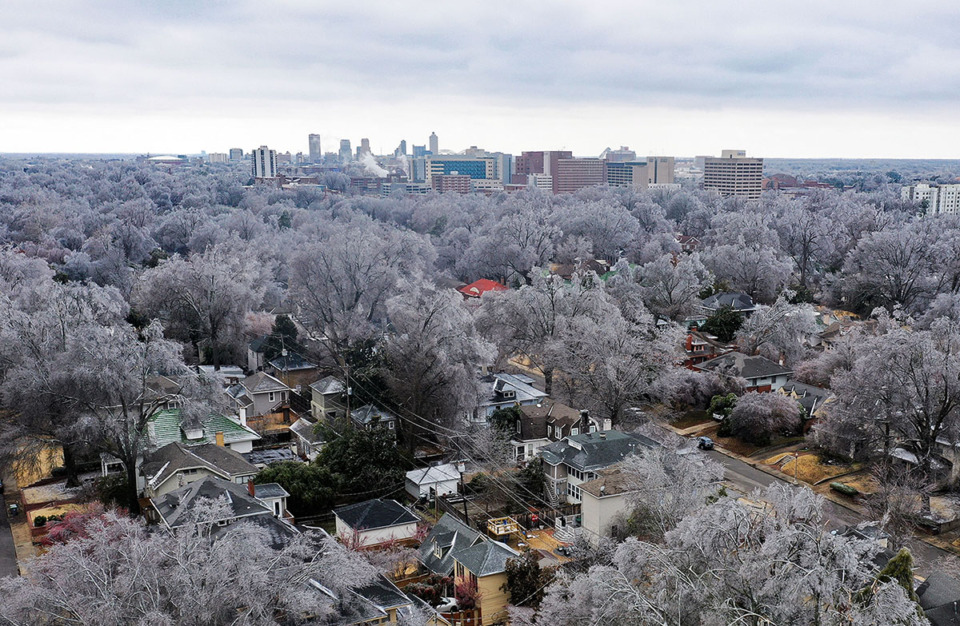 <strong>Downtown Memphis, Tennessee can been seen as ice covers the canopy of large oak trees in Midtown Feb. 4, 2022.</strong> (Patrick Lantrip/The Daily Memphian)