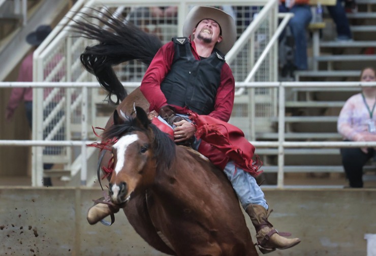 <strong>Cowboys compete in the bronc-riding competition at the 2022 AutoZone Liberty Bowl Professional Rodeo on Dec. 26, 2022.</strong> (Patrick Lantrip/The Daily Memphian)