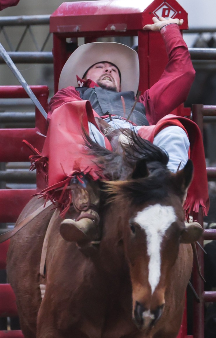 <strong>The difficulty of the bronc-riding competition is on full display at the 2022 AutoZone Liberty Bowl Professional Rodeo on Dec. 26, 2022.</strong> (Patrick Lantrip/The Daily Memphian)