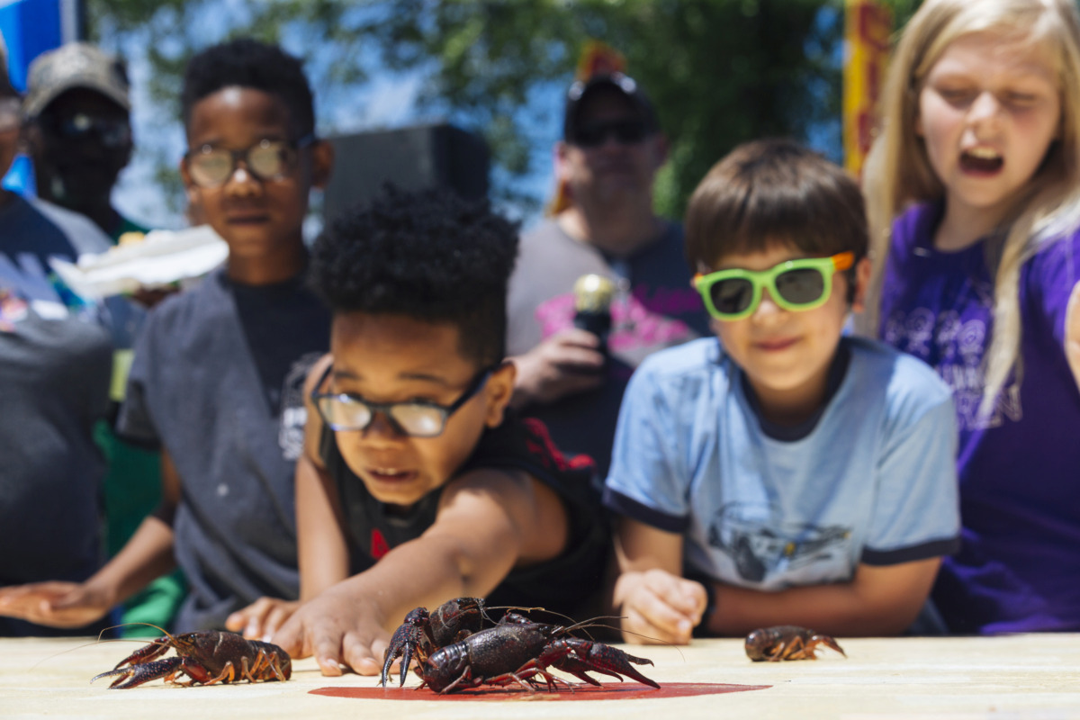 <strong>Children participate in a crawfish race during the 27th annual Rajun Cajun Crawfish Festival Sunday in Downtown Memphis.</strong> (Ziggy Mack/Special to the Daily Memphian)