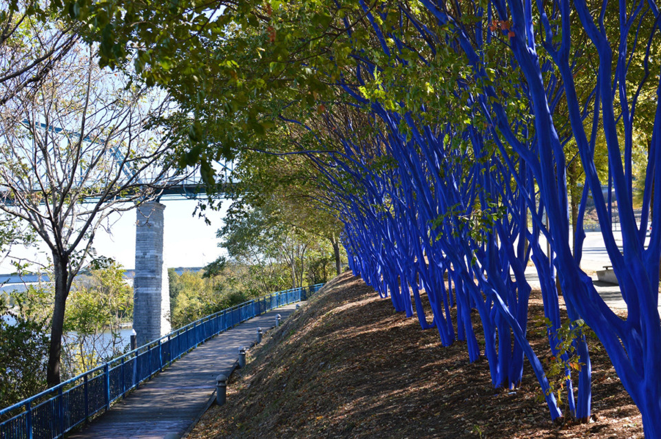 <strong>Trees colored blue in Chattanooga help bring awareness to deforestation and spur creativity outdoors. Germantown approved a contract with Konstantin Dimopoulos to bring the colored trees to a portion of the suburb&rsquo;s greenway.</strong> (Courtesy Chattanooga Parks and Outdoors)