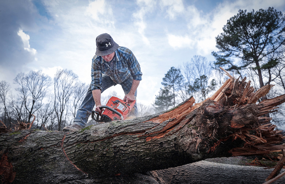 <strong>Kevin Daniel works to remove a felled tree for repurposing at the former Germantown Country Club on Jan. 17. The trees will be turned into whiskey barrels and pallets to be used on site during the redevelopment process.</strong> (Patrick Lantrip/The Daily Memphian)