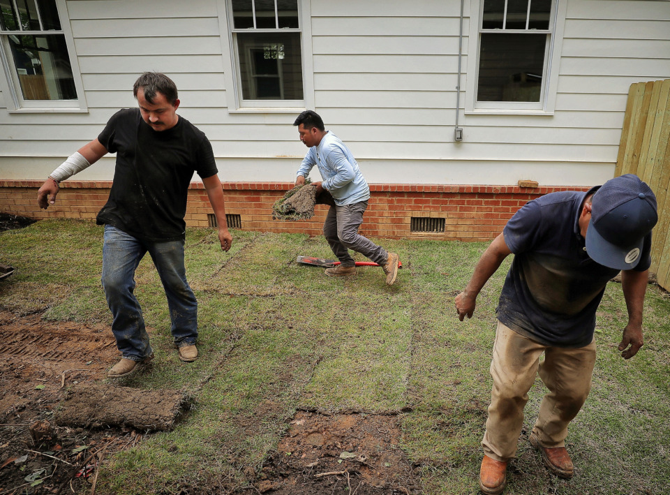 <strong>Ricardo Magallanes (left), David Sanchez (middle) and Carlos Ortiz (right) lay sod on May 2, 2019 at a new corner-lot home on Williford where developer Ed Apple has built one of his City Cottages. Apple has acquired more than 50 scattered, vacant lots in the Memphis core as part of his plan to erect modest-sized homes.</strong> (Jim Weber/Daily Memphian)