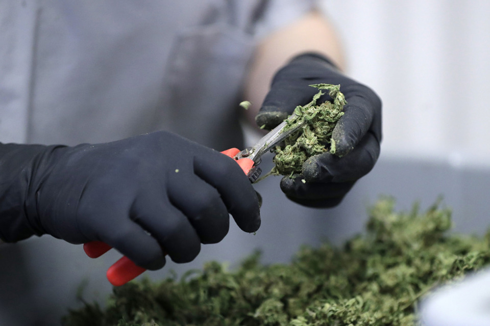 <strong>Under the&nbsp;Mississippi Medical Cannabis Program, patients experiencing severe health conditions can purchase limited amounts of cannabis after receiving a medical marijuana card.</strong> (Julio Cortez/AP Photo)