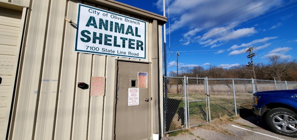 Olive Branch takes steps for new animal shelter - Memphis Local, Sports,  Business & Food News | Daily Memphian