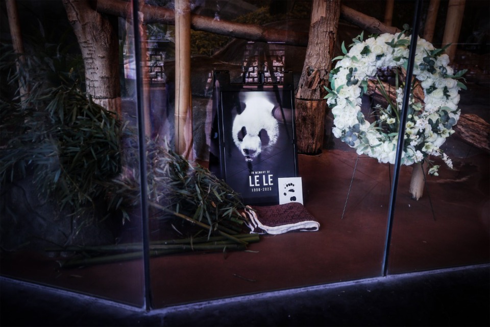 <strong>A memorial for the giant panda Le Le, who passed away at the age of 24 Friday, Feb. 3, 2023, has been erected in his enclosure at the Memphis Zoo.</strong> (Patrick Lantrip/The Daily Memphian)