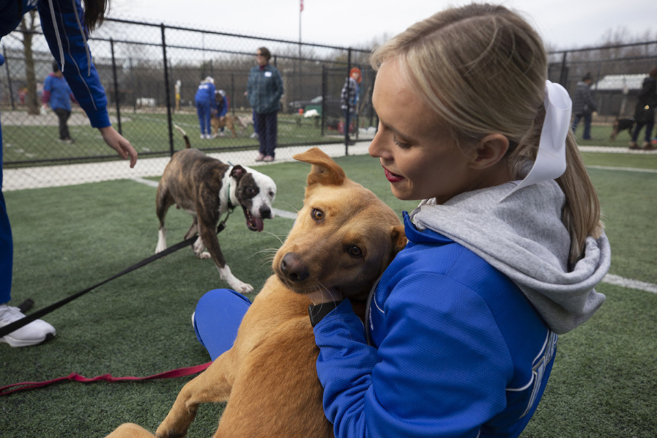 <strong>Magan Pritchard plays with shelter dogs on new astroturf play yards at Memphis Animal Services on Saturday, Feb. 4, 2023.</strong> (Ziggy Mack/Special to The Daily Memphian)